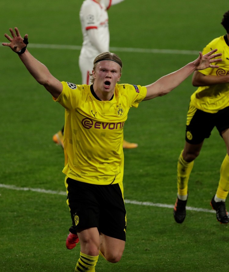 不仅关乎梅 不仅关乎梅