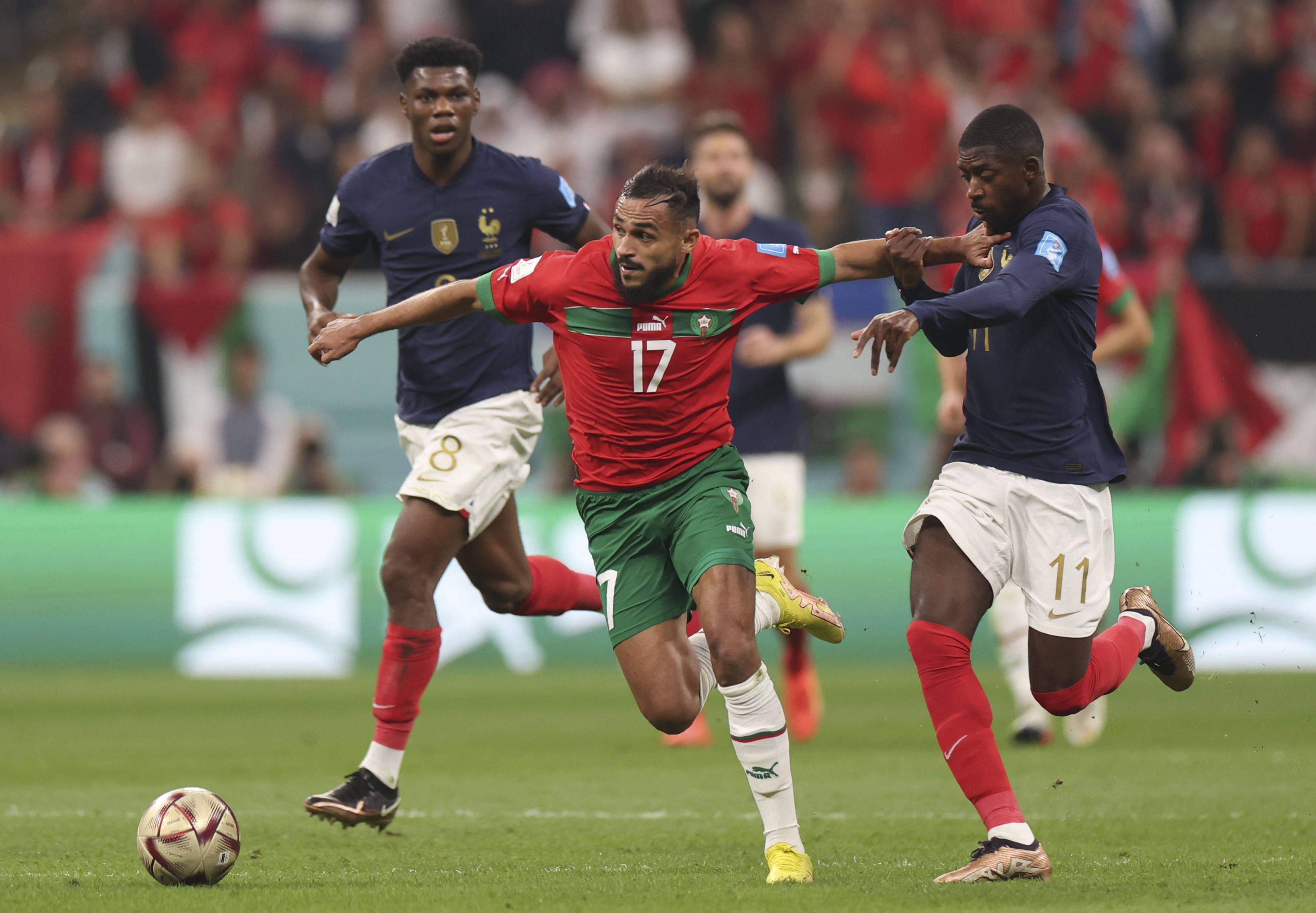 那顽强拼搏 那顽强拼搏